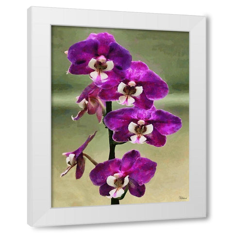 Purple Orchid White Modern Wood Framed Art Print by Medeiros, Celito
