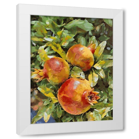 Pomegranate II White Modern Wood Framed Art Print by Medeiros, Celito