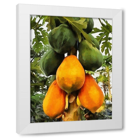 Papaya White Modern Wood Framed Art Print by Medeiros, Celito