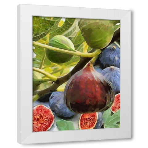 Figs White Modern Wood Framed Art Print by Medeiros, Celito