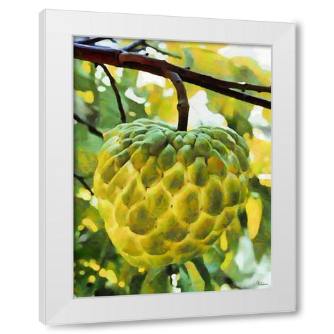 Tropical Fruit I White Modern Wood Framed Art Print by Medeiros, Celito