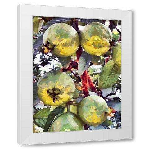 Passion Fruit White Modern Wood Framed Art Print by Medeiros, Celito