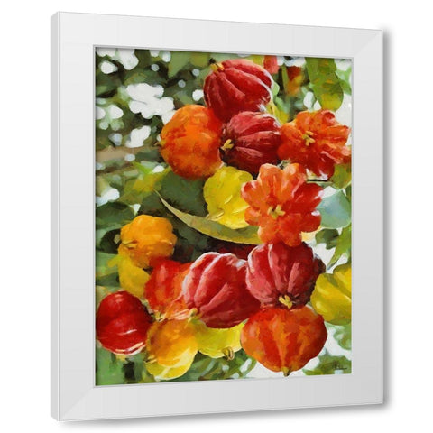 Tropical Fruit III White Modern Wood Framed Art Print by Medeiros, Celito