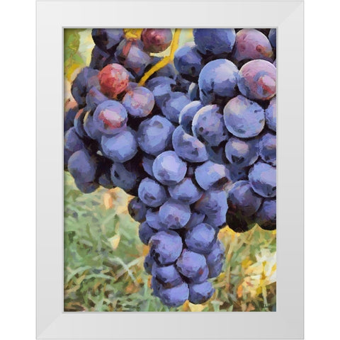 Grapes White Modern Wood Framed Art Print by Medeiros, Celito