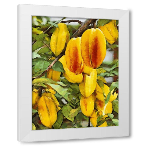 Tropical Fruit IV White Modern Wood Framed Art Print by Medeiros, Celito