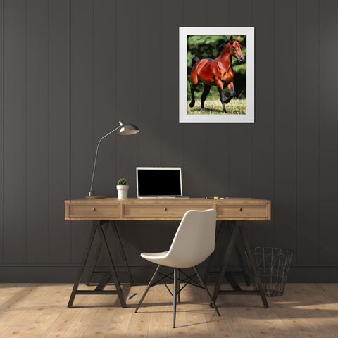 Running Brown Horse White Modern Wood Framed Art Print by Medeiros, Celito