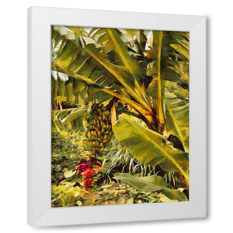 Banana Tree I White Modern Wood Framed Art Print by Medeiros, Celito