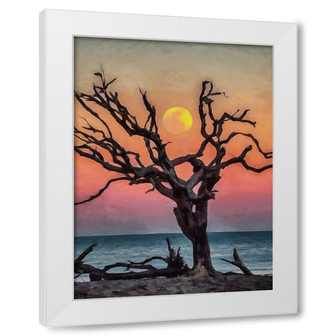 Dry Tree on the Beach White Modern Wood Framed Art Print by Medeiros, Celito