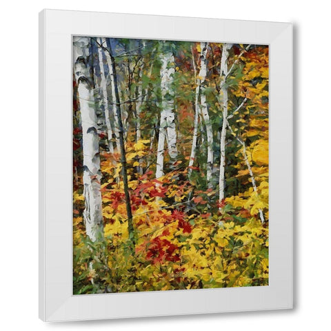 Birch Variation II White Modern Wood Framed Art Print by Medeiros, Celito