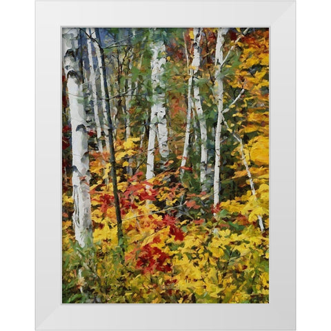 Birch Variation II White Modern Wood Framed Art Print by Medeiros, Celito