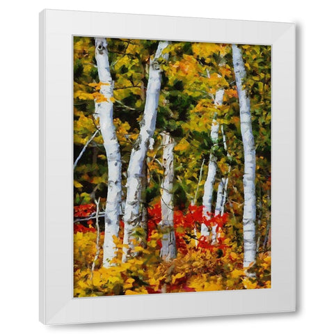 Birch Variation III White Modern Wood Framed Art Print by Medeiros, Celito