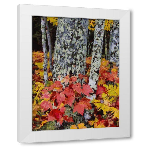 Birch Variation V White Modern Wood Framed Art Print by Medeiros, Celito