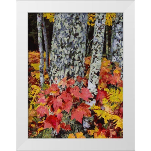 Birch Variation V White Modern Wood Framed Art Print by Medeiros, Celito