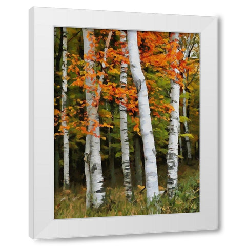 Birch Variation VI White Modern Wood Framed Art Print by Medeiros, Celito