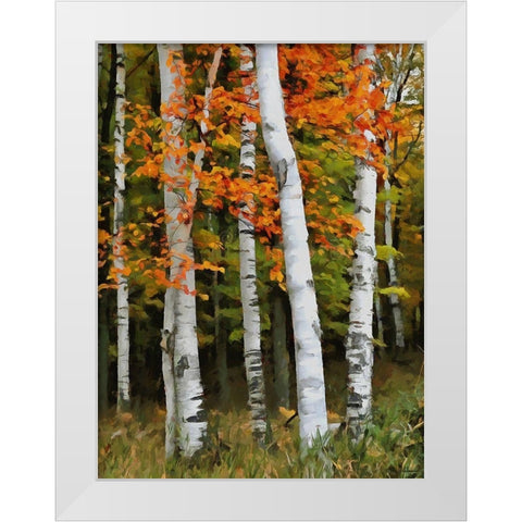 Birch Variation VI White Modern Wood Framed Art Print by Medeiros, Celito