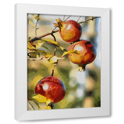 Pomegranate Tree White Modern Wood Framed Art Print by Medeiros, Celito