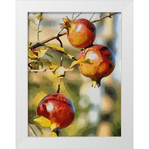 Pomegranate Tree White Modern Wood Framed Art Print by Medeiros, Celito
