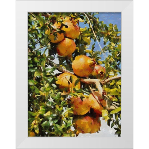 Pomegranate Tree II White Modern Wood Framed Art Print by Medeiros, Celito