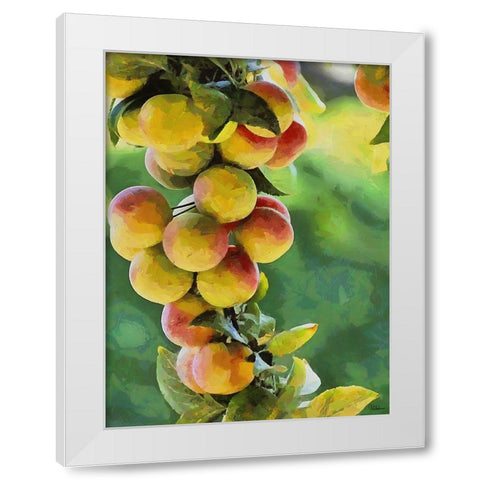 Peach Tree II White Modern Wood Framed Art Print by Medeiros, Celito