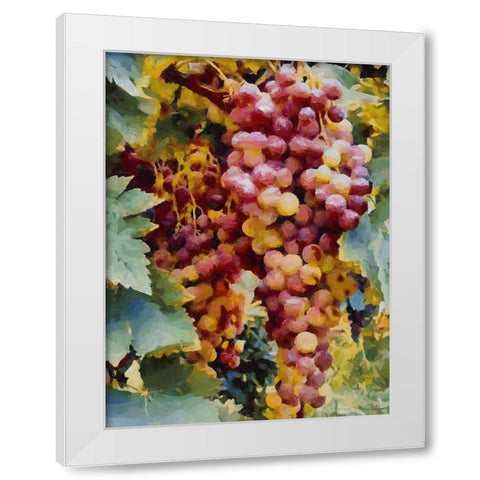 Twig of Grape Wine II White Modern Wood Framed Art Print by Medeiros, Celito