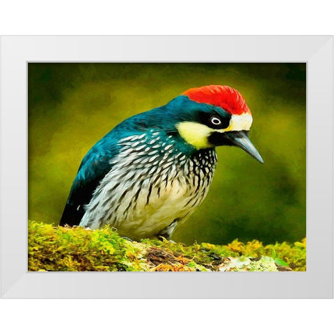 Red Head Bird White Modern Wood Framed Art Print by Medeiros, Celito