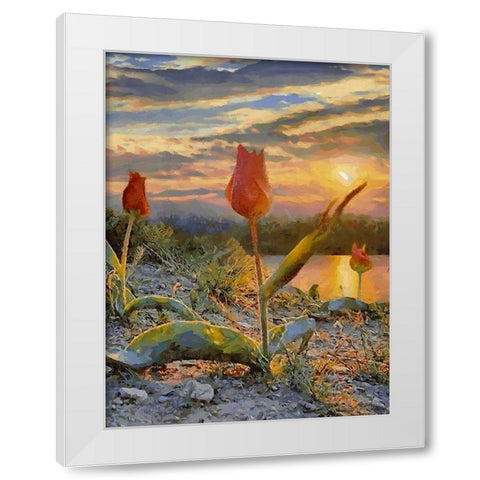 Sunset over the Tulips White Modern Wood Framed Art Print by Medeiros, Celito