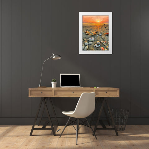 Shells on the Beach White Modern Wood Framed Art Print by Medeiros, Celito
