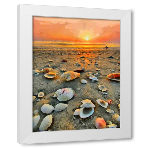 Shells on the Beach White Modern Wood Framed Art Print by Medeiros, Celito