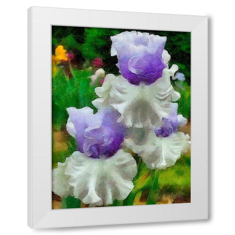 White and Purple Iris White Modern Wood Framed Art Print by Medeiros, Celito
