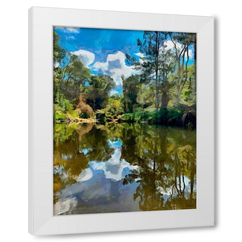 Tropical Pond White Modern Wood Framed Art Print by Medeiros, Celito