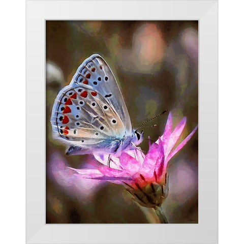Butterfly on Pink Flower White Modern Wood Framed Art Print by Medeiros, Celito