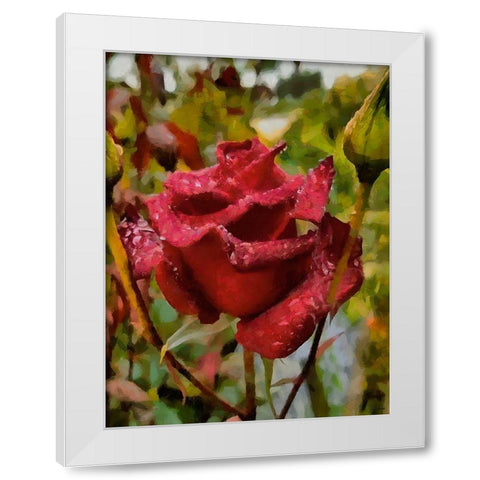 One Red Rose White Modern Wood Framed Art Print by Medeiros, Celito