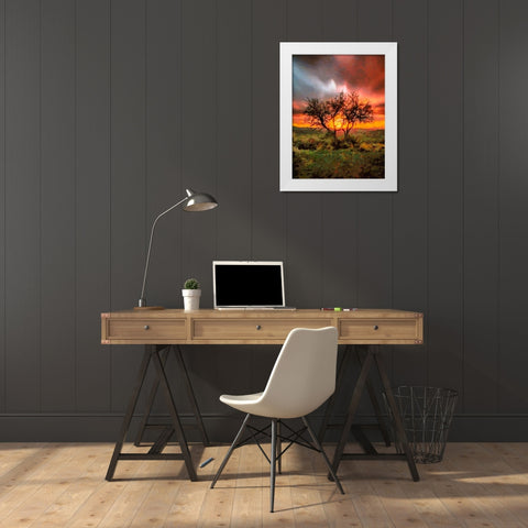 Sunset behind the Tree II White Modern Wood Framed Art Print by Medeiros, Celito