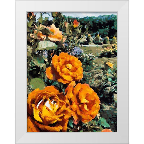 Dark Yellow Roses in the Garden White Modern Wood Framed Art Print by Medeiros, Celito