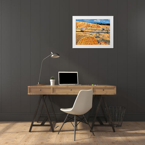 Sunset above the Field White Modern Wood Framed Art Print by Medeiros, Celito