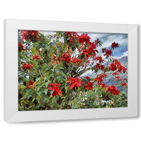 Red Bush White Modern Wood Framed Art Print by Medeiros, Celito