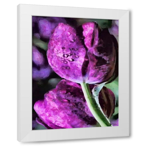 Purple Tulips White Modern Wood Framed Art Print by Medeiros, Celito