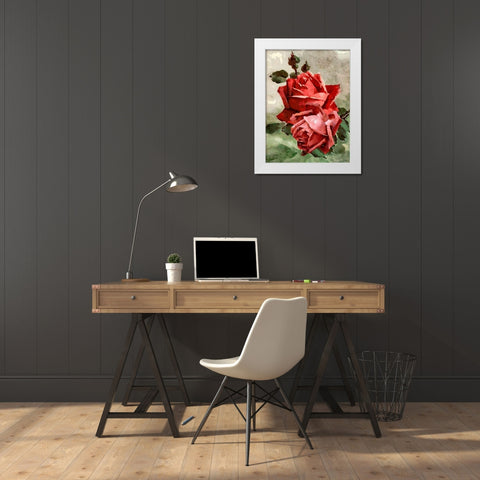 Red Roses II White Modern Wood Framed Art Print by Medeiros, Celito