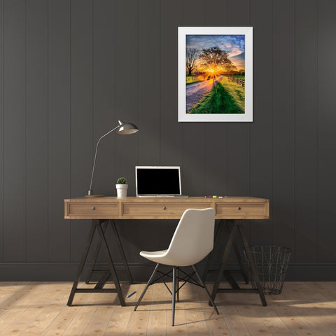 Sunset behind the Tree II White Modern Wood Framed Art Print by Medeiros, Celito