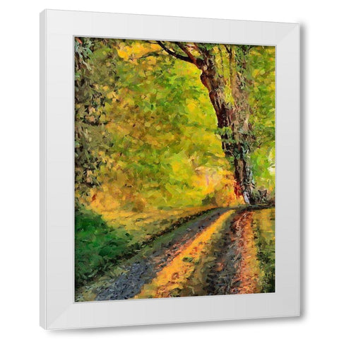 Old Tree by the Road White Modern Wood Framed Art Print by Medeiros, Celito