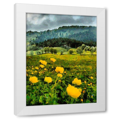 Mountain Valley II White Modern Wood Framed Art Print by Medeiros, Celito