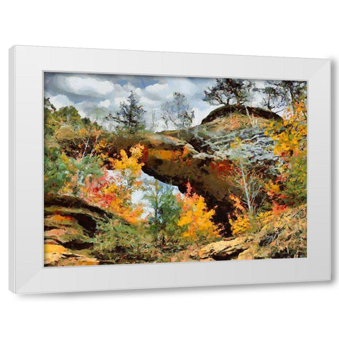 National Parks 2 White Modern Wood Framed Art Print by Medeiros, Celito