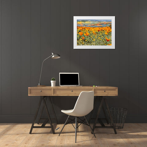 Yellow Meadow VI White Modern Wood Framed Art Print by Medeiros, Celito
