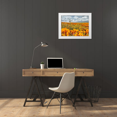 Yellow Meadow XI White Modern Wood Framed Art Print by Medeiros, Celito