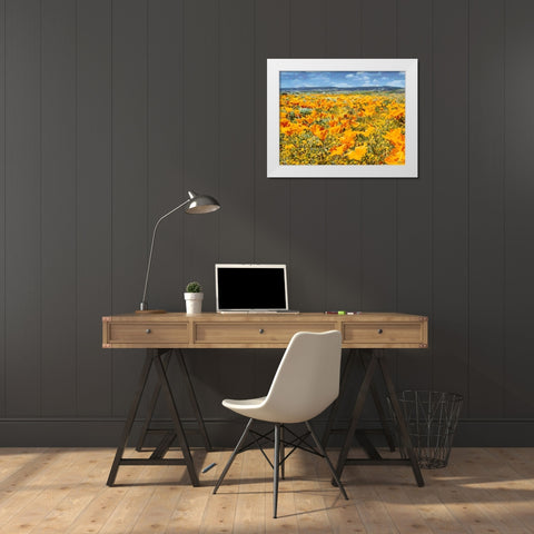 Yellow Meadow XIV White Modern Wood Framed Art Print by Medeiros, Celito