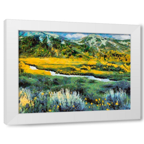 Great National Parks II White Modern Wood Framed Art Print by Medeiros, Celito