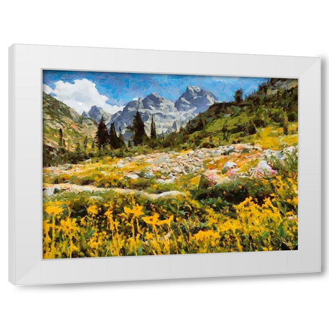 Great National Parks XIII White Modern Wood Framed Art Print by Medeiros, Celito