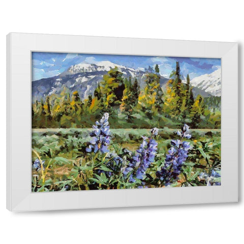 Great National Parks XV White Modern Wood Framed Art Print by Medeiros, Celito