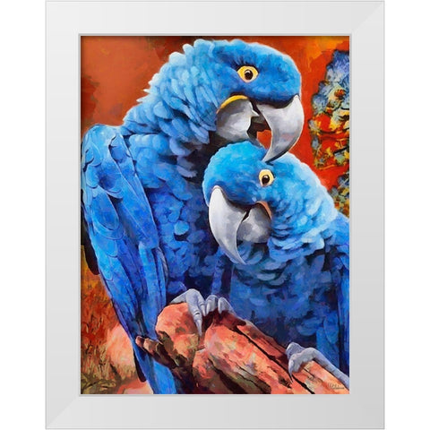Two Blue Parrots White Modern Wood Framed Art Print by Medeiros, Celito