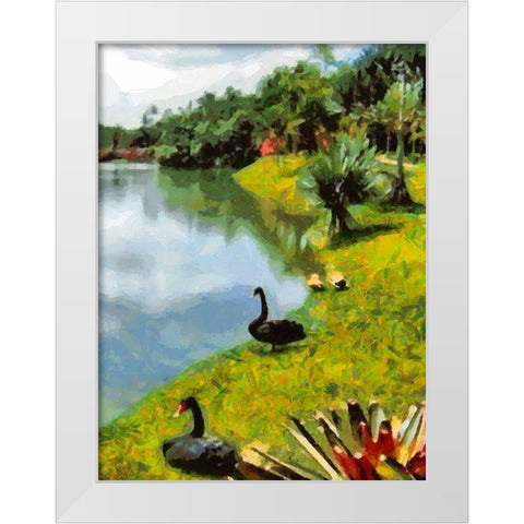 Black Swans by the Lake White Modern Wood Framed Art Print by Medeiros, Celito